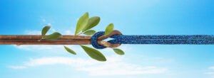 Sustainability-Gottifredi-Maffioli